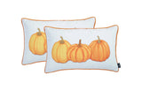 Set Of 2 20" Thanksgiving Pumpkin Throw Pillow Cover In Multicolor