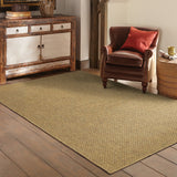 2' X 4' Tan Indoor Outdoor Area Rug