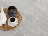 4’ X 6’ Modern Gray Distressed Area Rug