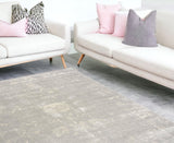 4’ X 6’ Modern Gray Distressed Area Rug