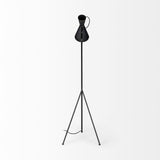 Black and Brass Conical Metal Floor Lamp