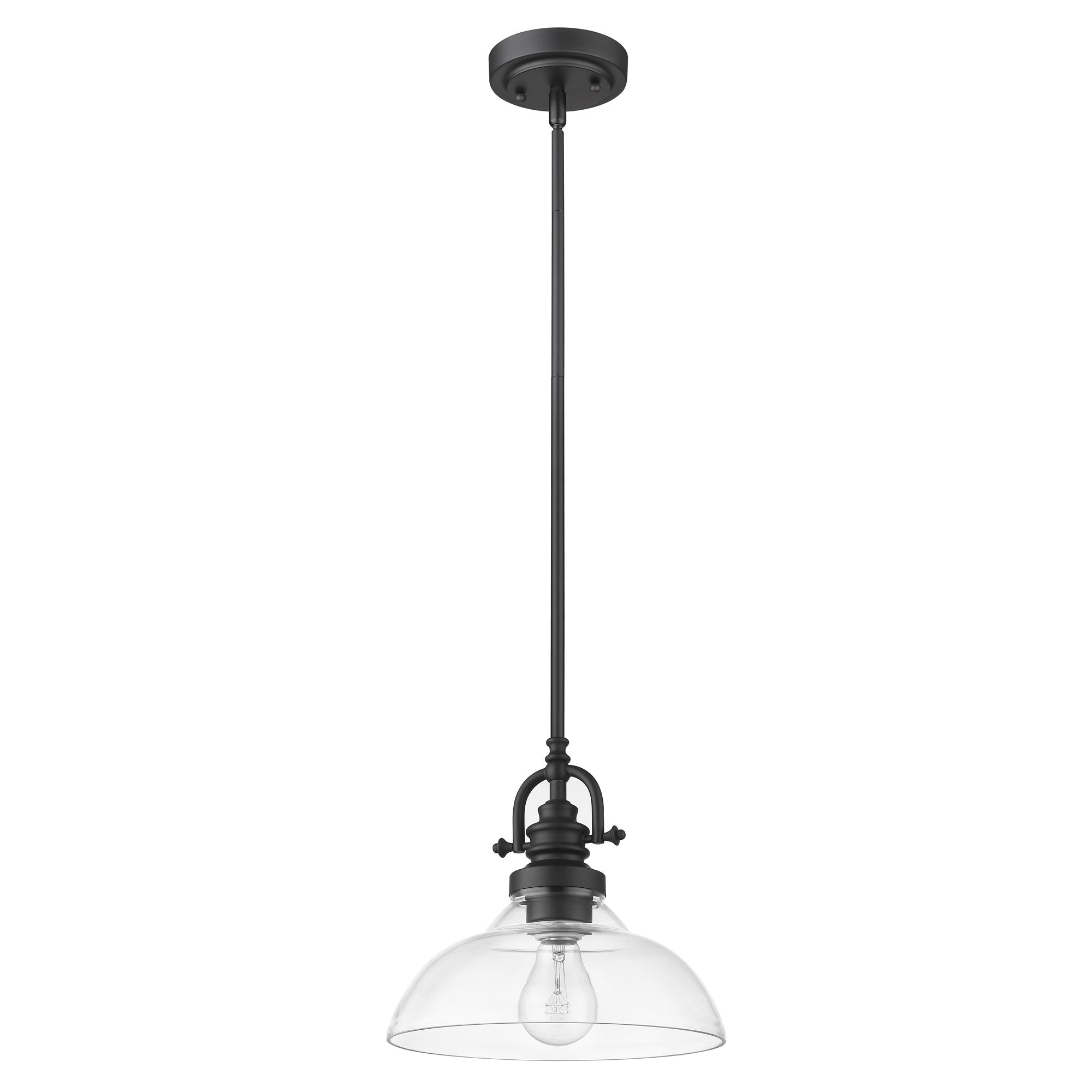 Matte Black Hanging Light with Glass Dome Shade