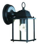 Matte Black Hanging Glass Lantern Wall Light