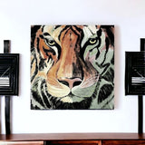 Staring Tiger Portrait Unframed Print Wall Art