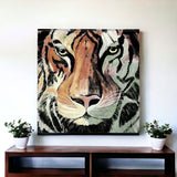 Staring Tiger Portrait Unframed Print Wall Art