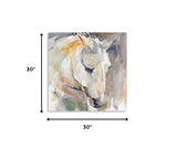 20" x 20" Abstract Watercolor Horse Canvas Wall Art