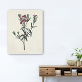 Singular Red Blossom Branch Unframed Print Wall Art