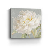 Angelic White Peony Flower Unframed Print Wall Art