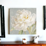 Angelic White Peony Flower Unframed Print Wall Art