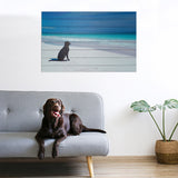 36" Energetic Dog at the Beach Unframed Photograph Wall Art