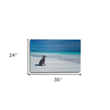 36" Energetic Dog at the Beach Unframed Photograph Wall Art