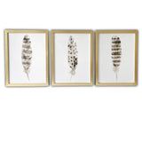 Set of Three Three Neutral Brown Feathers Framed Wall Art Set