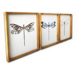 Set of Three Dragonfly Wood Framed Canvas Wall Art