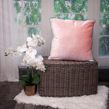 Pink and White Reversible Velvet Throw Pillow