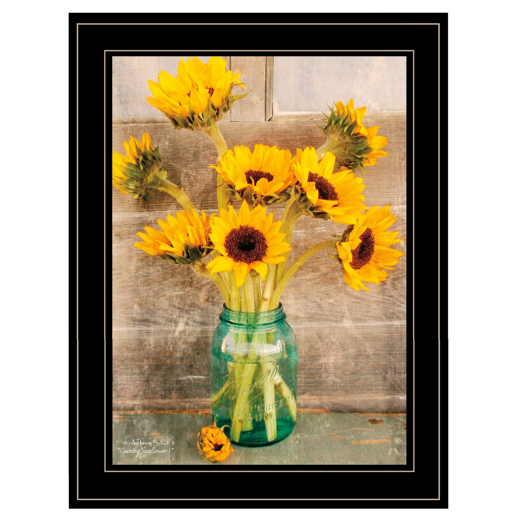 Country Sunflowers in a Mason Jar Black Framed Print Wall Art