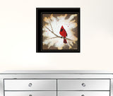 Cardinal on a Branch Black Framed Print Wall Art