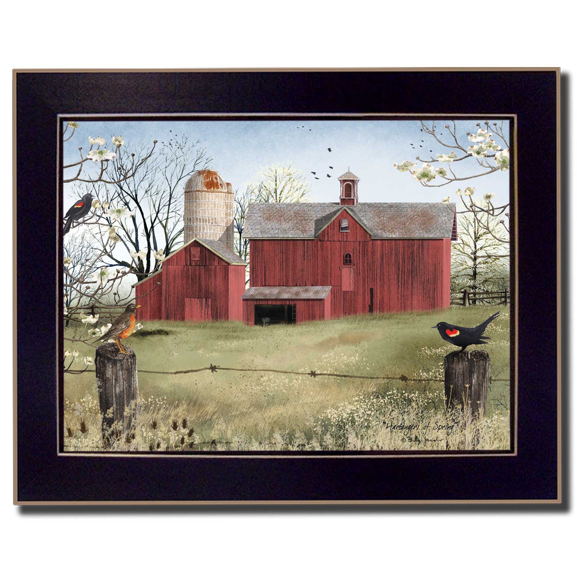 Rustic Red Barn and Birds Black Framed Print Wall Art