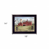 Rustic Red Barn and Birds Black Framed Print Wall Art