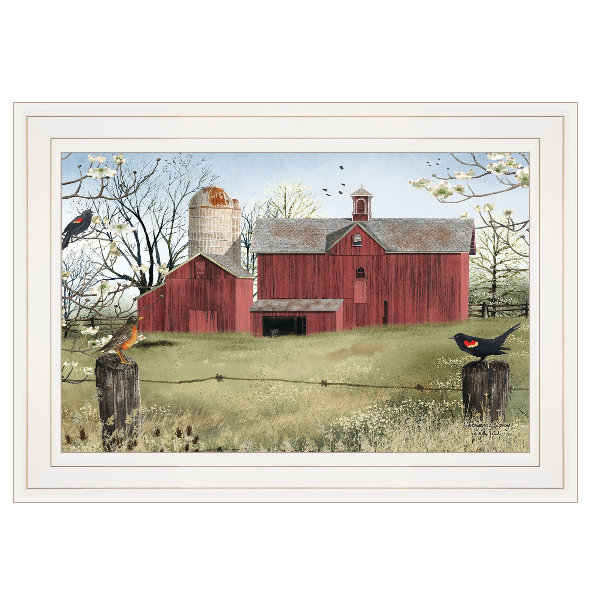 Rustic Red Barn and Birds White Framed Print Wall Art