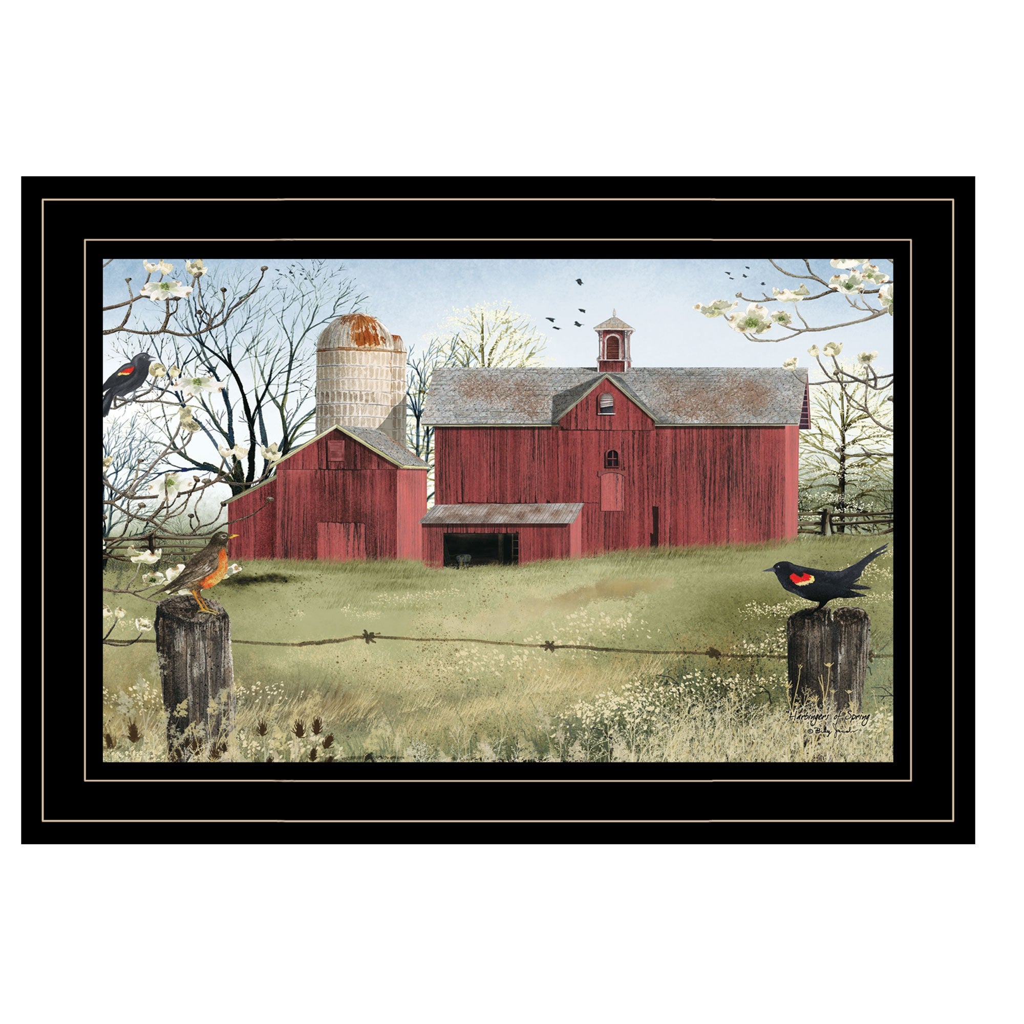 Rustic Red Barn and Birds Black Framed Print Wall Art