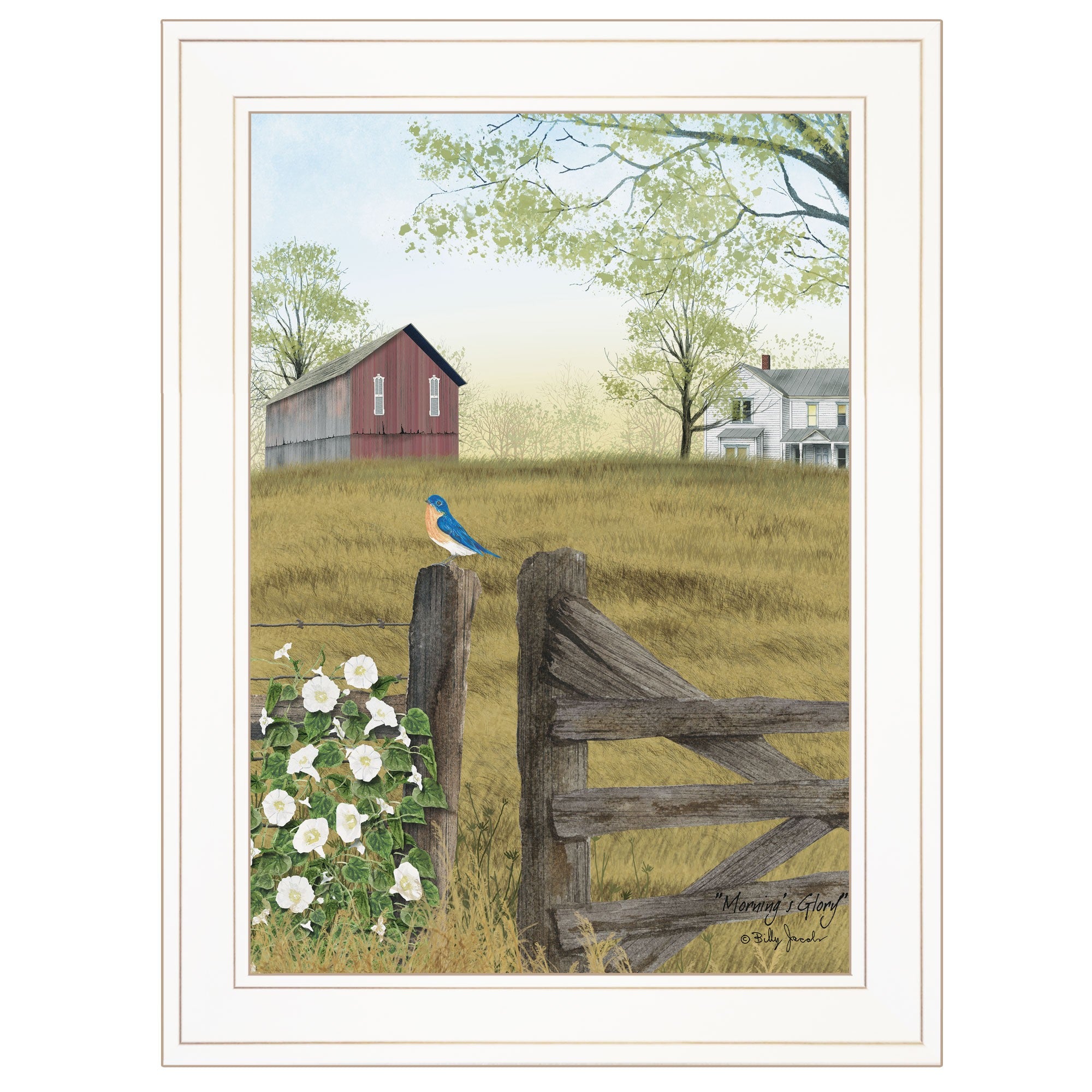 Blue Bird and Mornings Glory on the Farm White Framed Print Wall Art