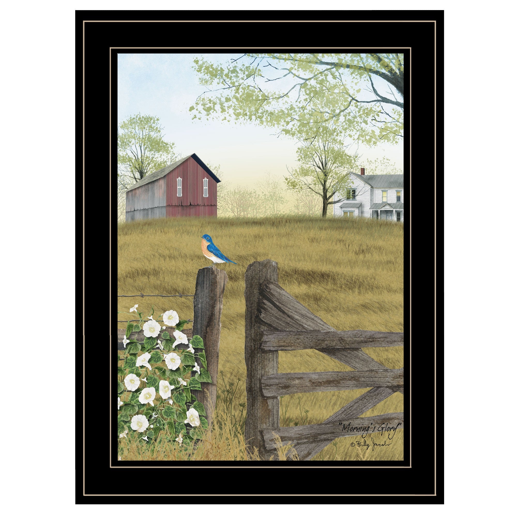 Mornings Glory 2 Black Framed Print Wall Art