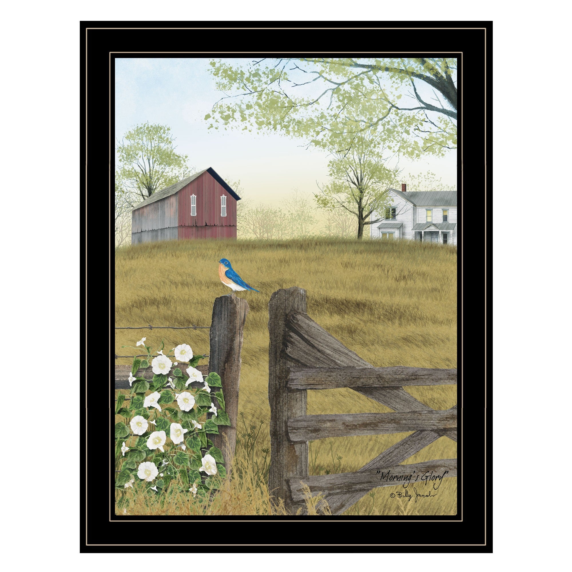 Blue Bird and Morning Glories on the Farm Black Framed Print Wall Art