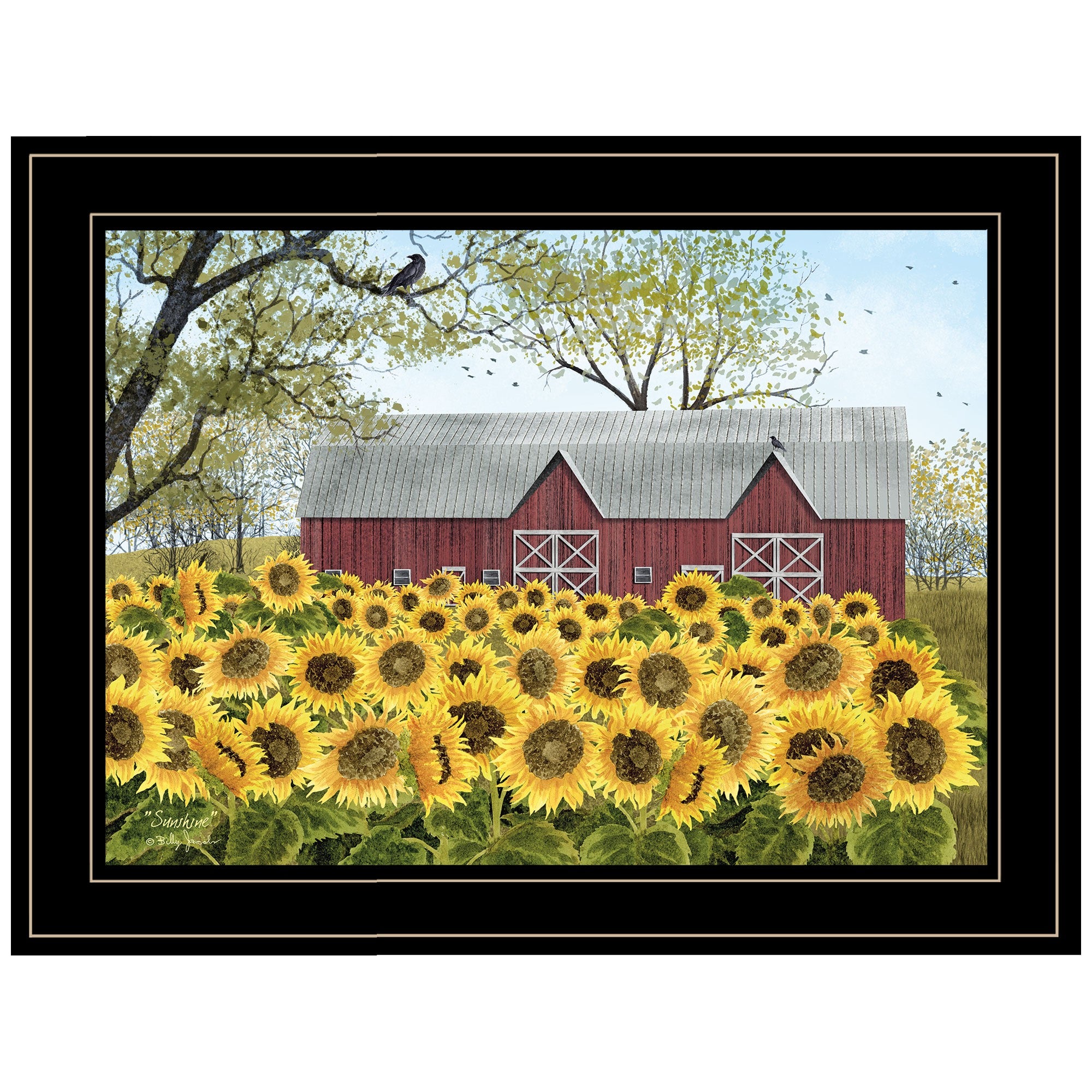 Sunflower Barn Black Framed Print Wall Art