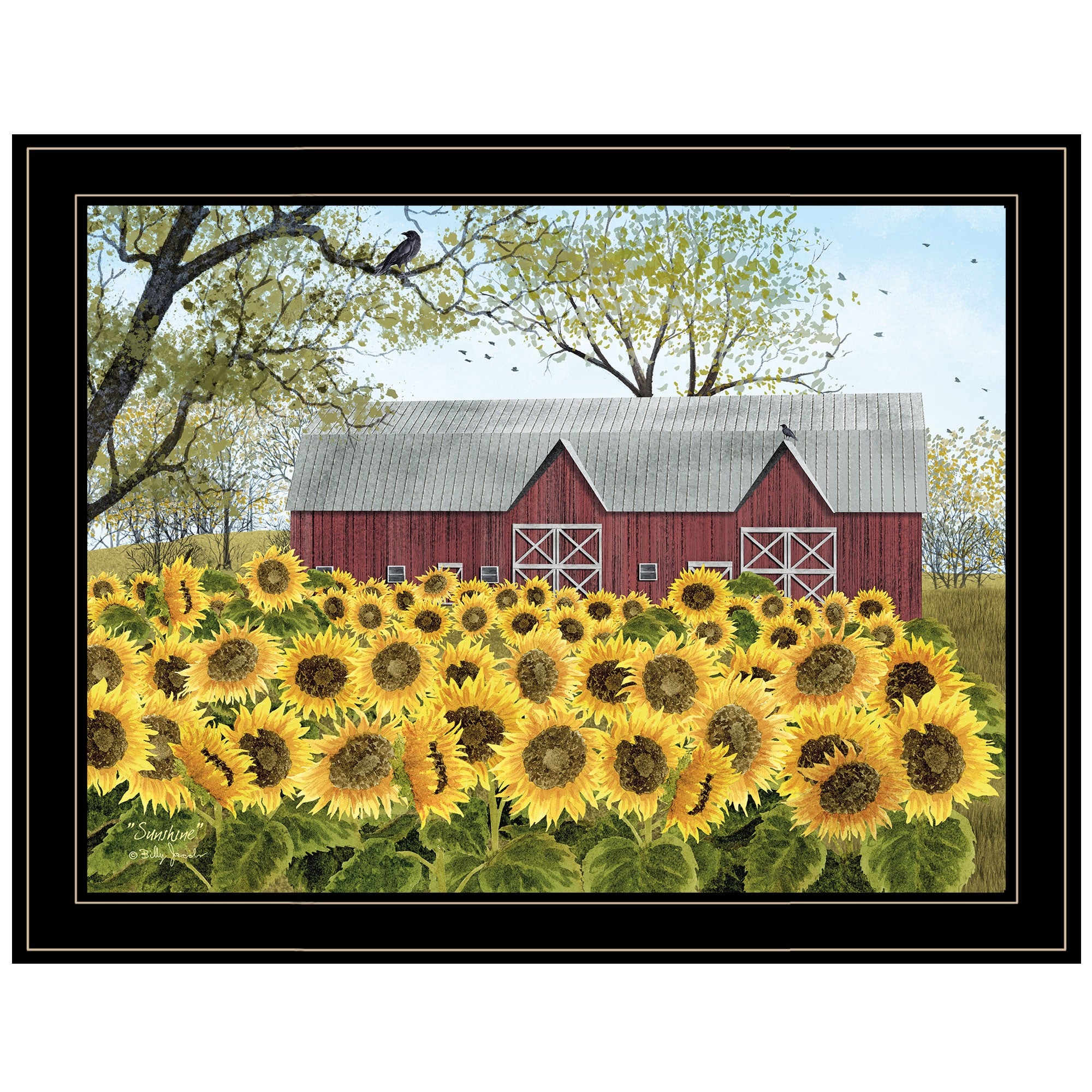 Sunflower Farm Black Framed Print Wall Art