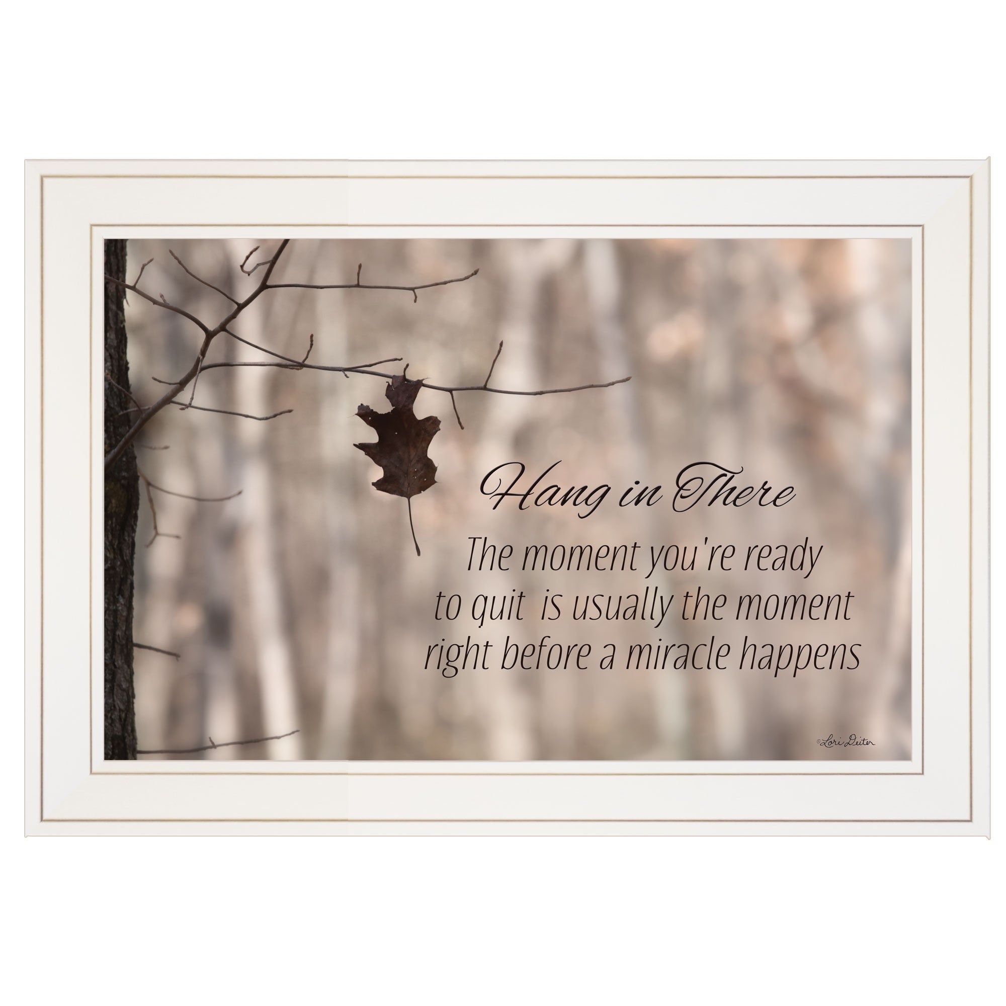 Hang in There 1 White Framed Print Wall Art