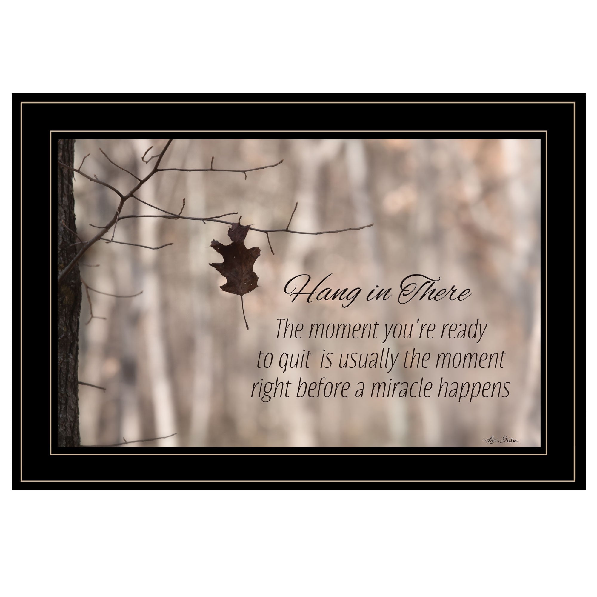 Hang in There 2 Black Framed Print Wall Art