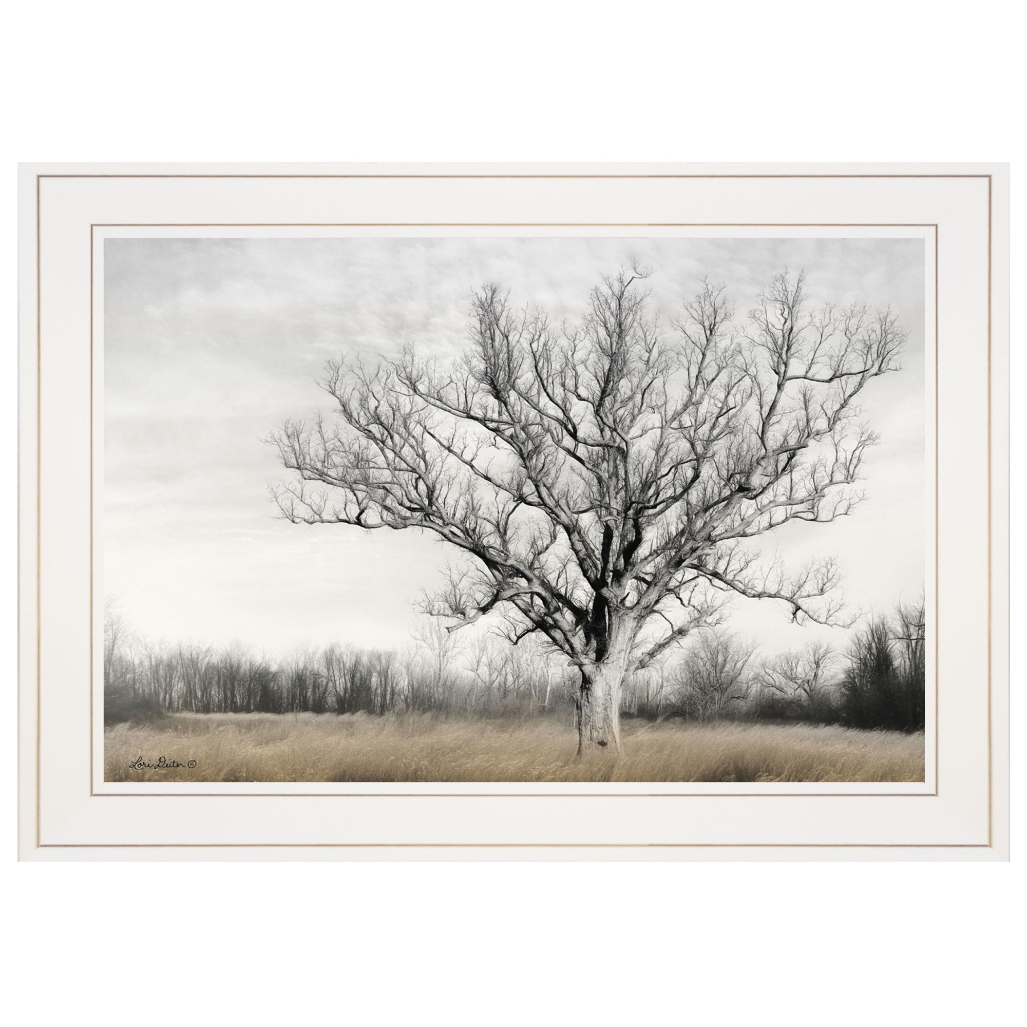 Earth & Sky 1 White Framed Print Wall Art