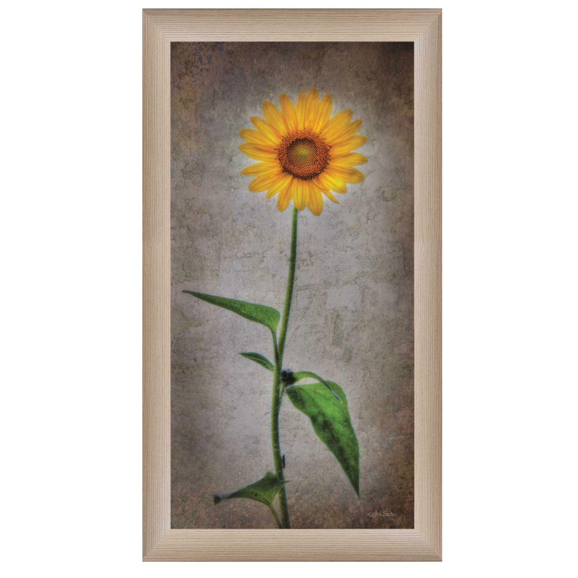 Sunflower I Brown Framed Print Wall Art