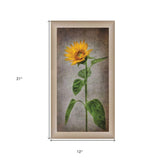 Sunflower II Brown Framed Print Wall Art