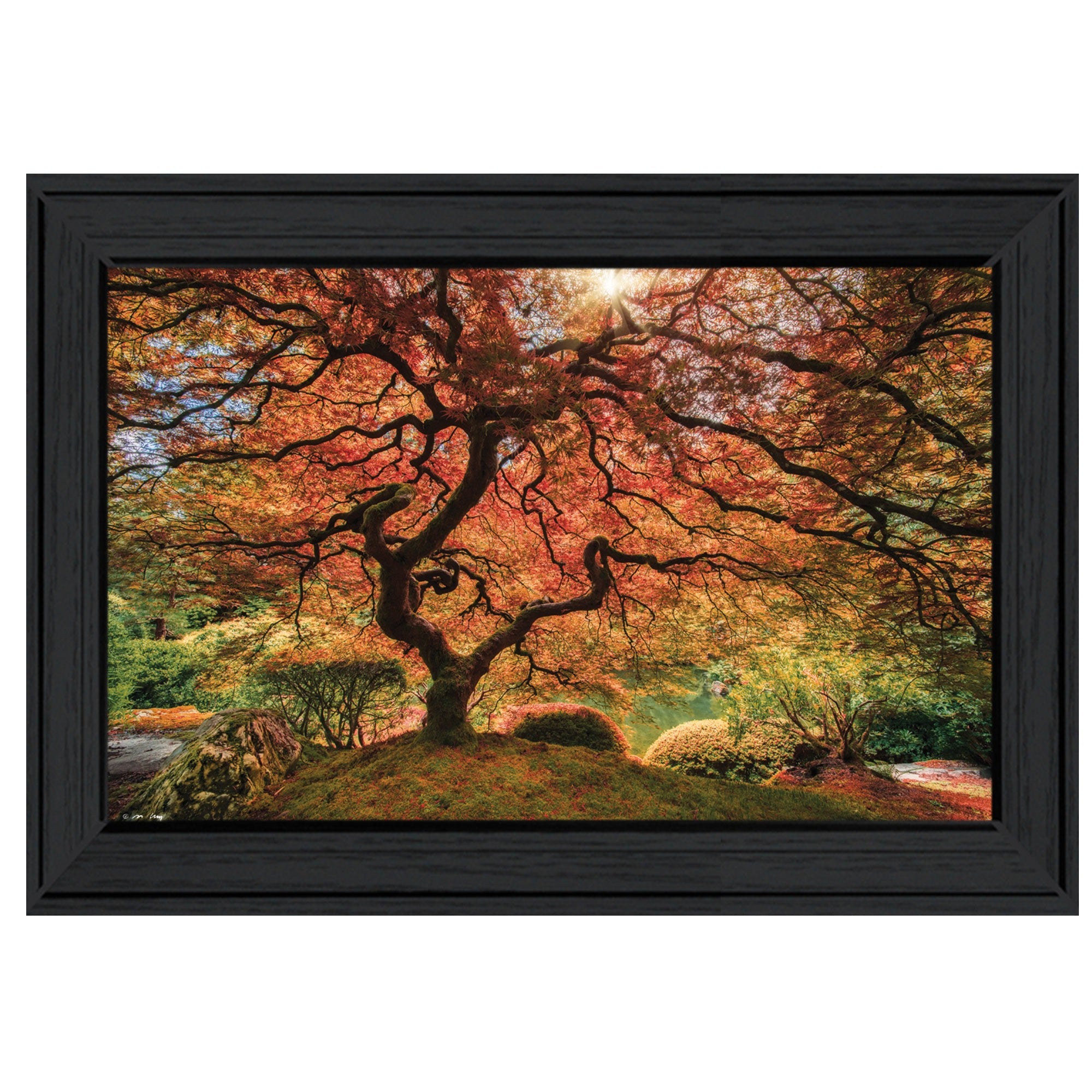 First Colors Of Fall I 2 Black Framed Print Wall Art