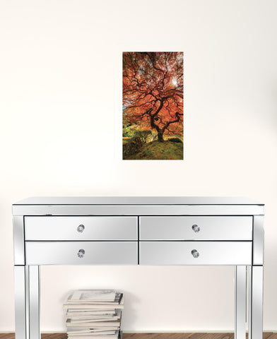 First Colors Of Fall II 1 White Framed Print Wall Art