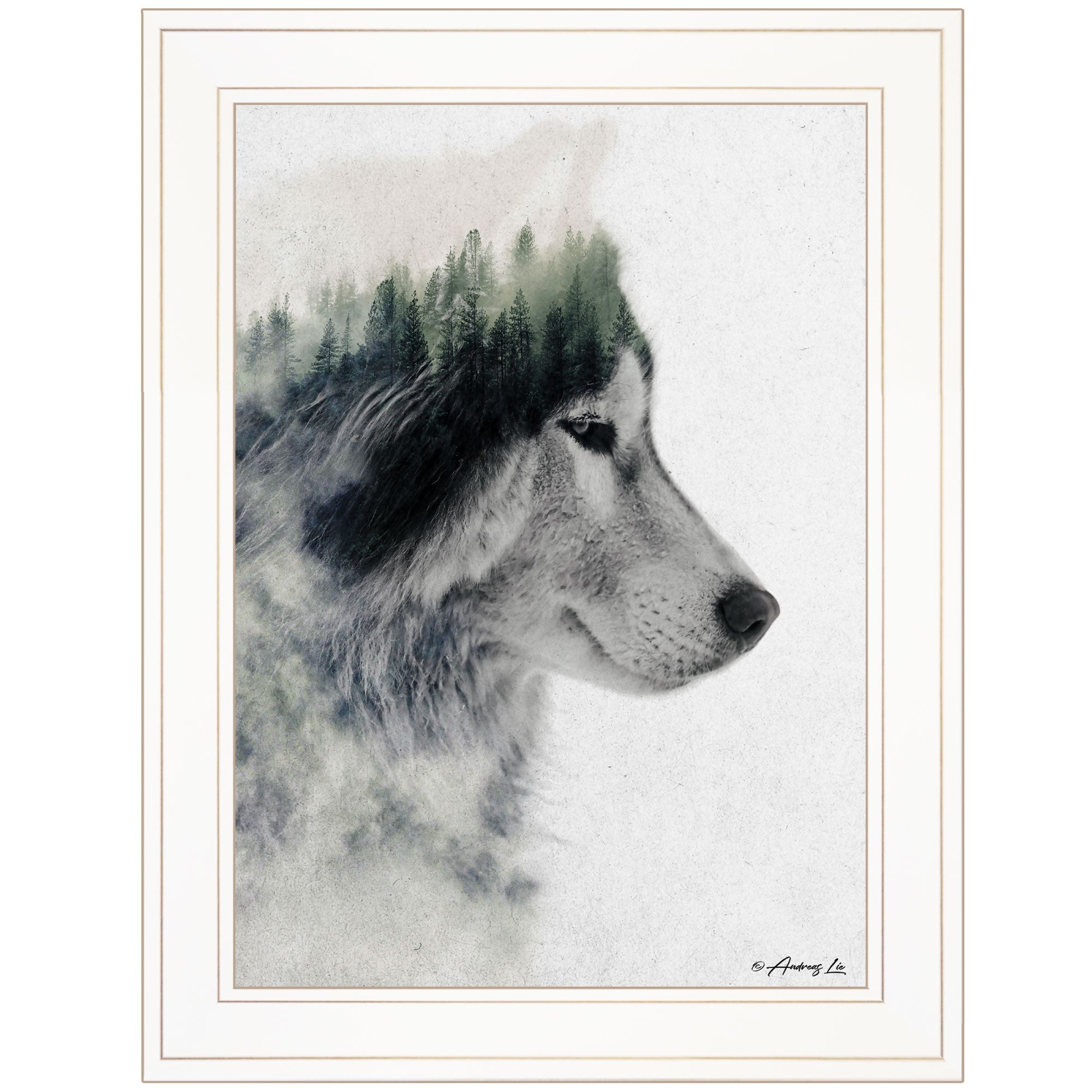 Wolf Stare 1 White Framed Print Wall Art
