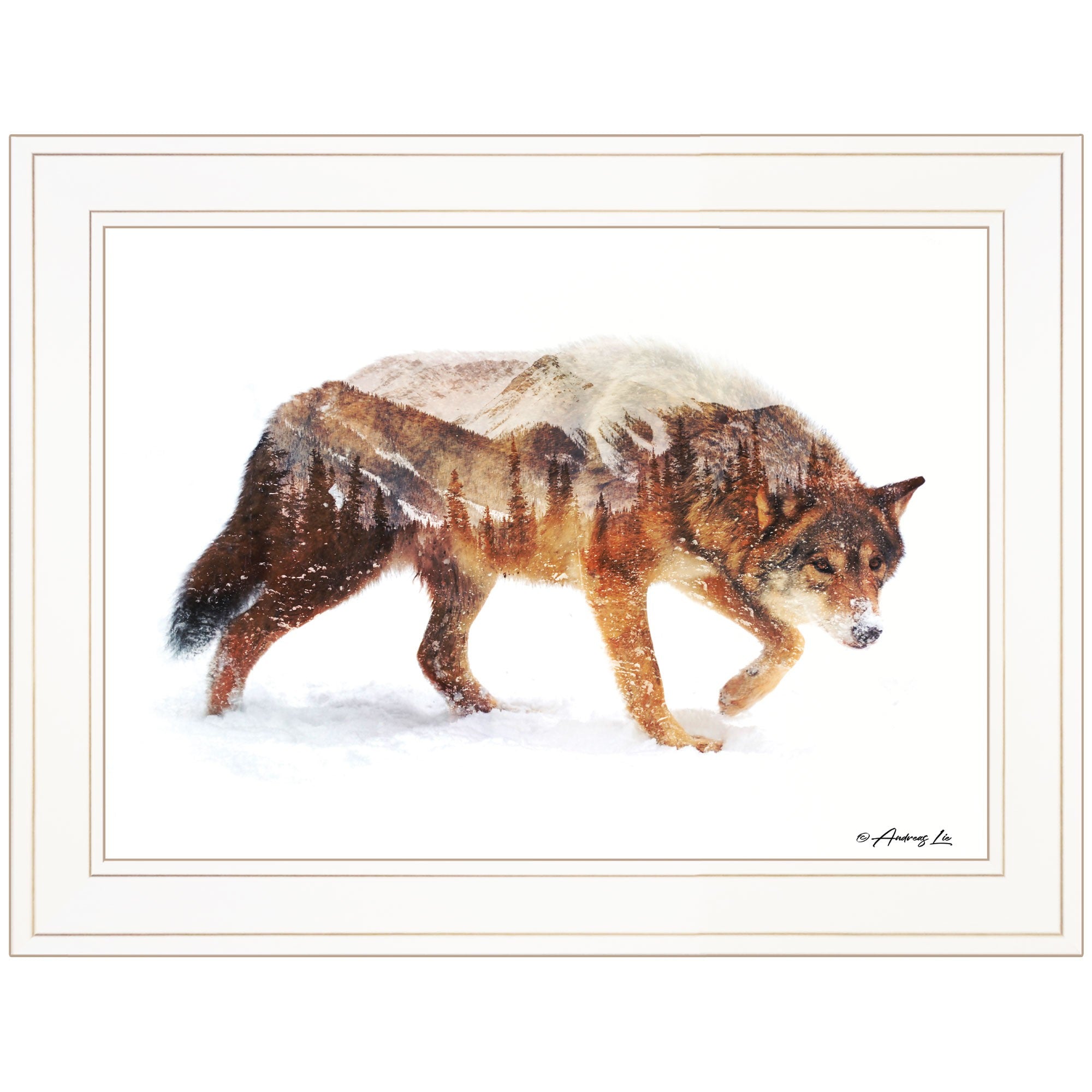 Arctic Wolf 1 White Framed Print Wall Art