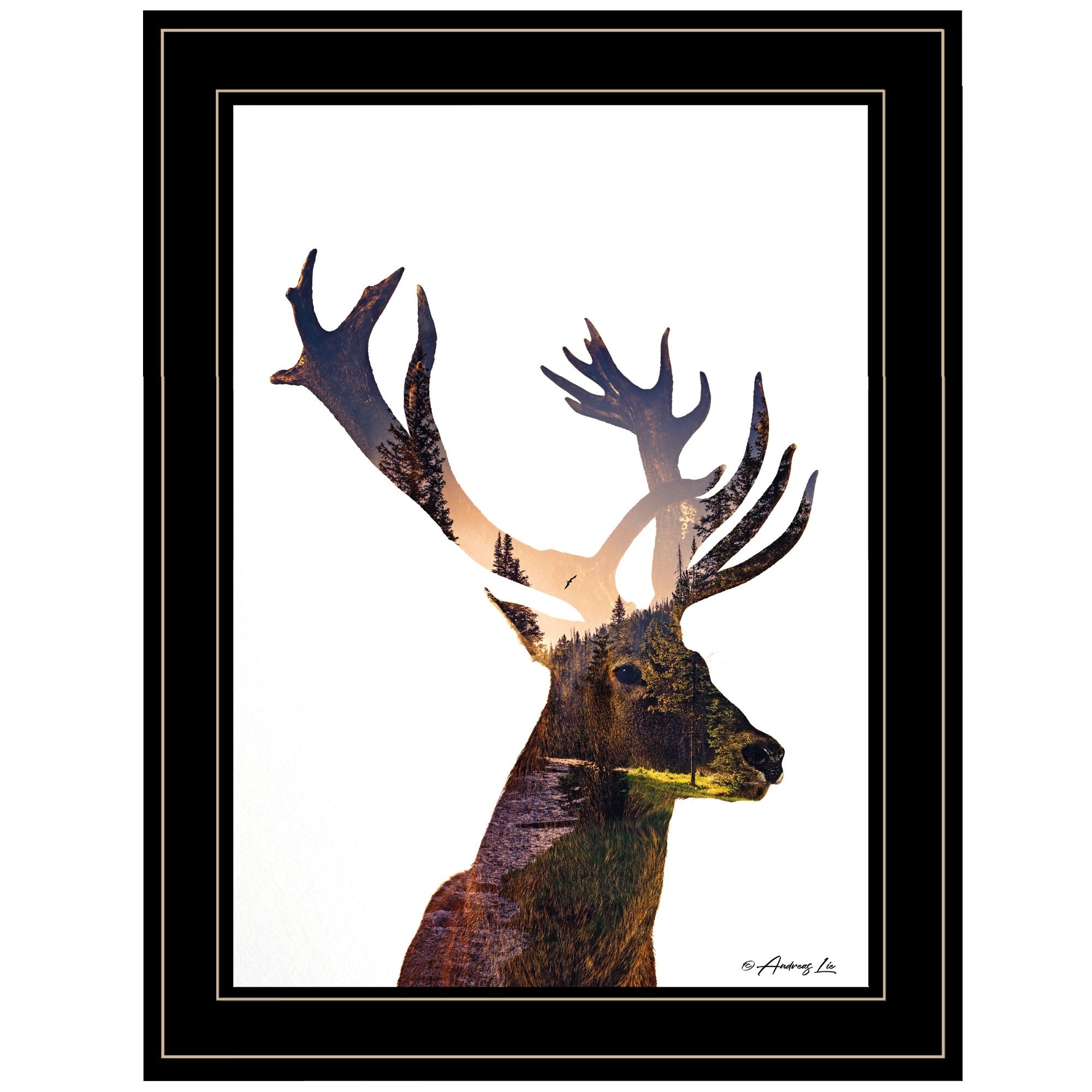 Deer In The Forest 2 Black Framed Print Wall Art