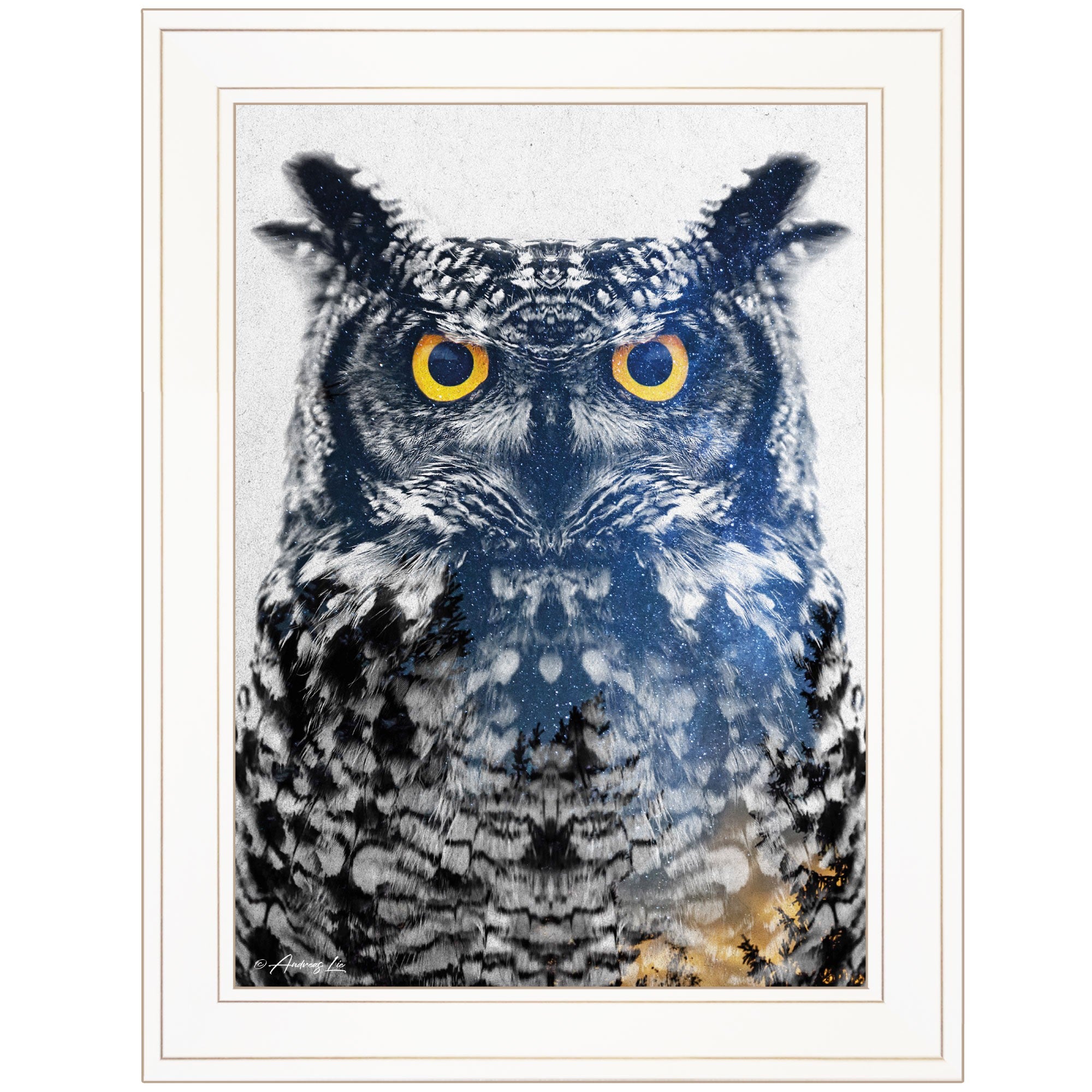 Night Owl 2 White Framed Print Wall Art