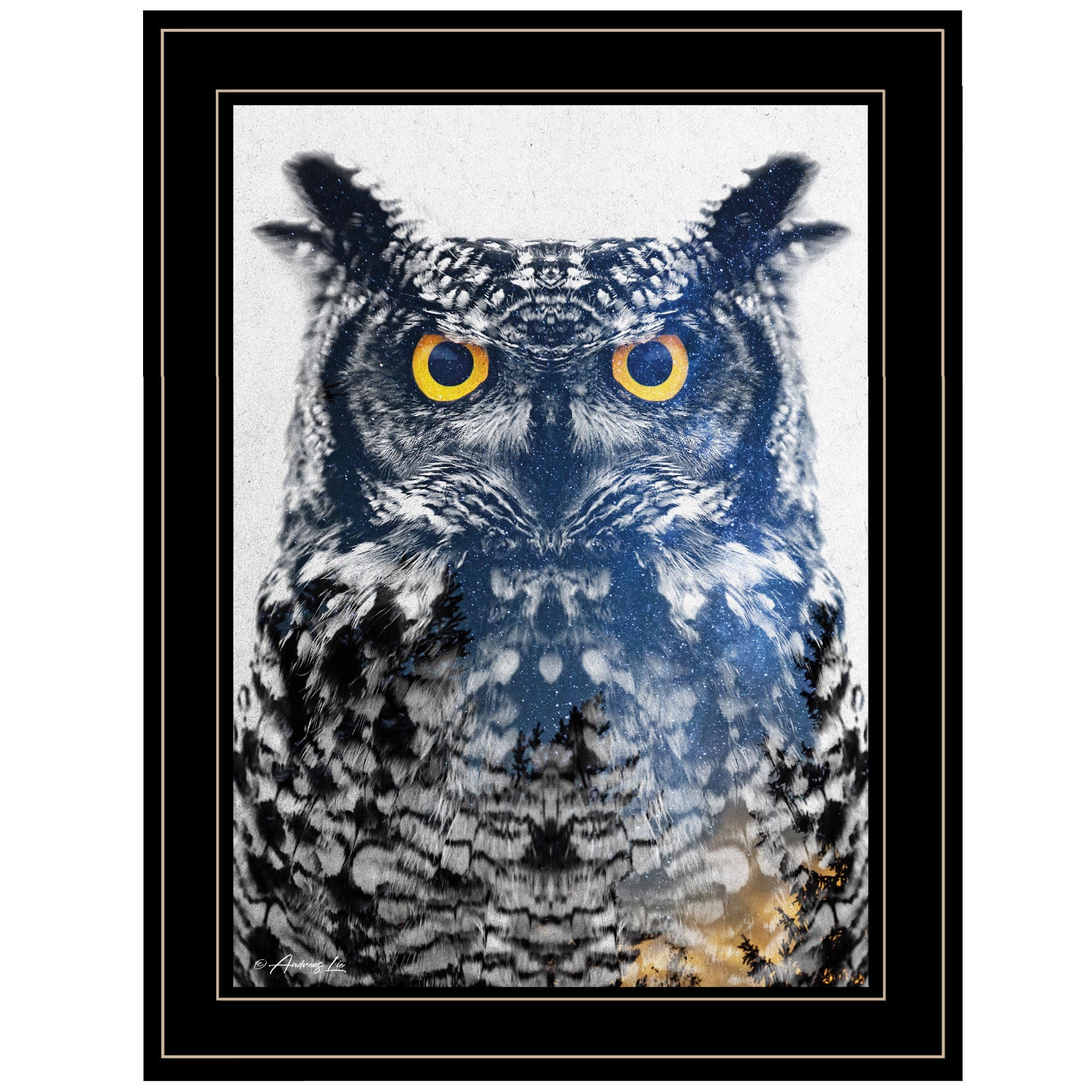 Night Owl 3 Black Framed Print Wall Art