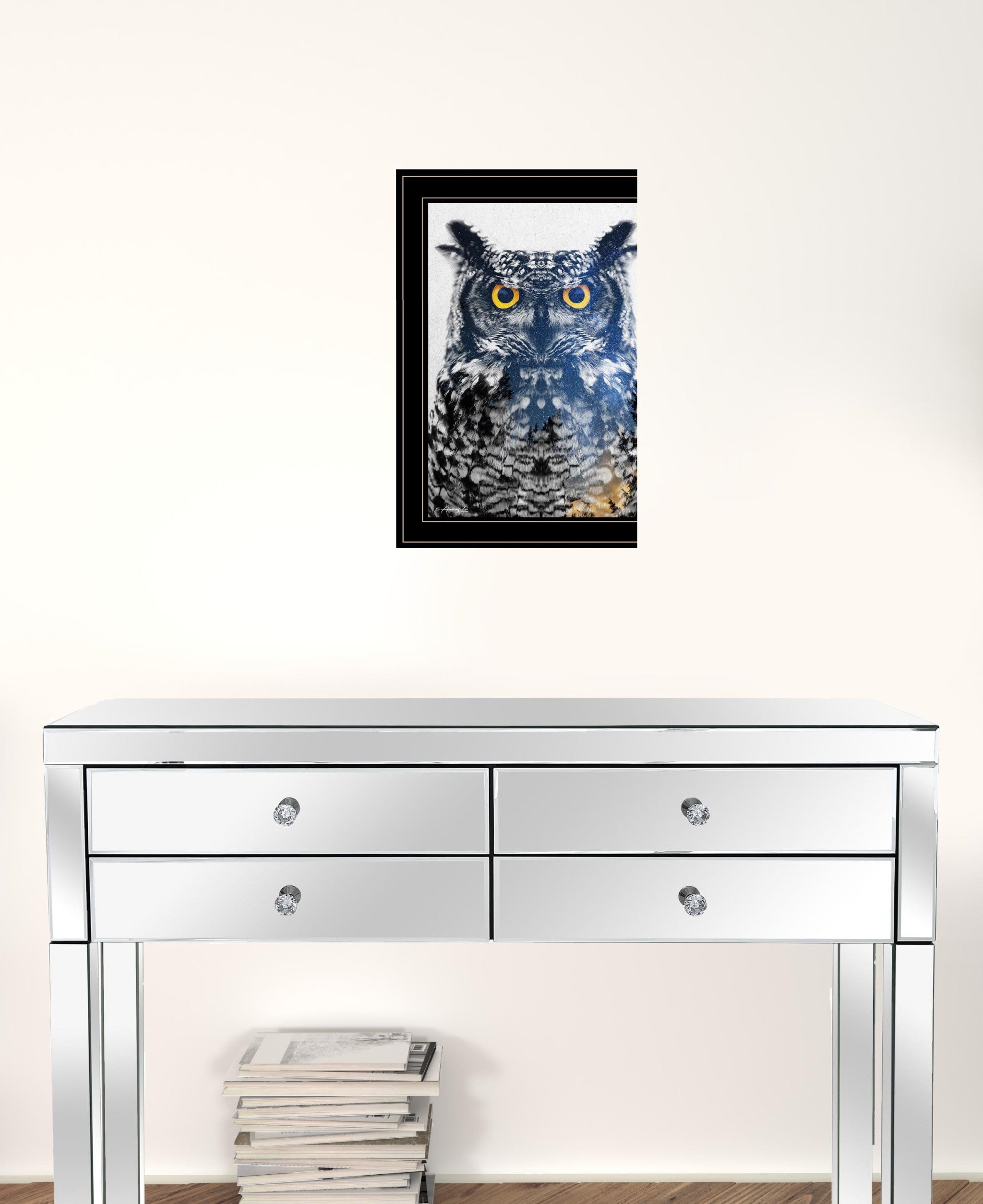 Night Owl 3 Black Framed Print Wall Art