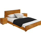 Moma Black Wood Platform Queen Bed With Two Nightstands