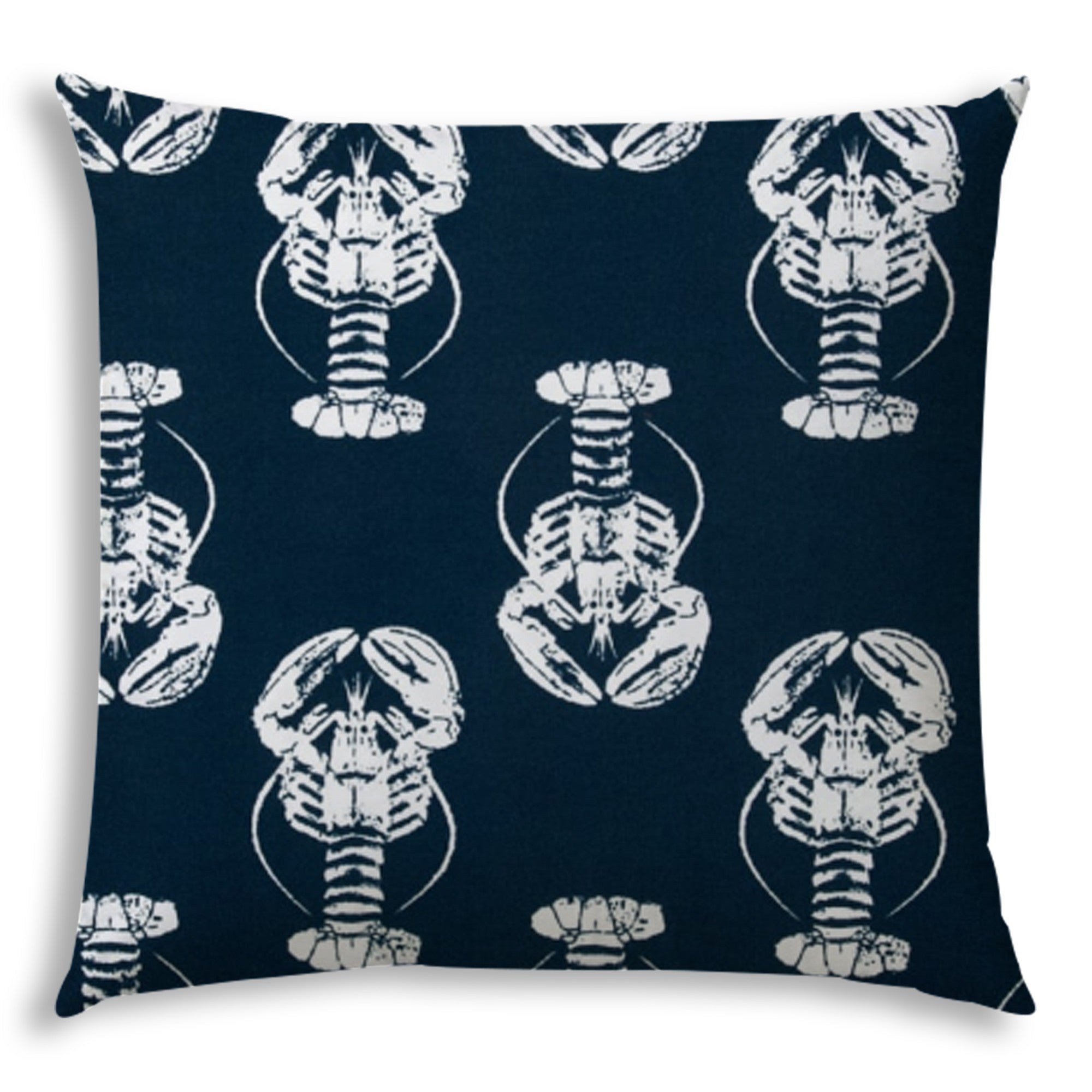 20" X 20" Navy And White Zippered Polyester Coastal Throw Pillow Cover