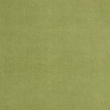 4' X 6' Green Non Skid Indoor Outdoor Area Rug
