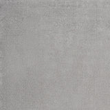 6' X 9' Silver Grey Indoor Outdoor Area Rug