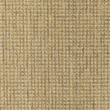 2' X 4' Tan Stain Resistant Indoor Outdoor Area Rug