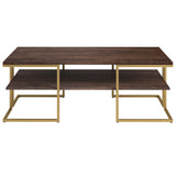 45" Gold Steel Coffee Table With Shelf