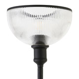 65" Black Novelty Floor Lamp With Clear Transparent Glass Dome Shade