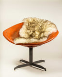 Sage Green New Zealand Natural  Sheepskin Rug